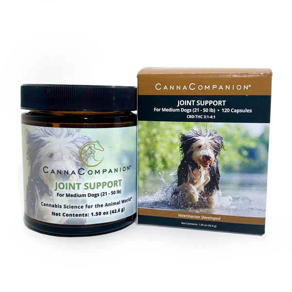 CBD Hemp Capsules for Medium Dogs Joint Support Canna Companion