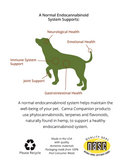 Joint Support CBD Capsules for Extra Large Dogs > 81 lb (120 count)