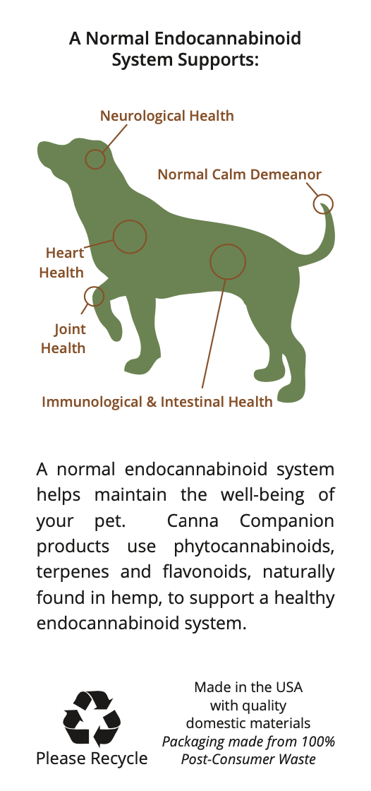 Whole Plant Hemp CBD Oil For Large Dogs >40 lb